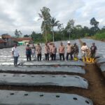 Dukung Ketahanan Pangan, Polsek Pasirwangi Tanam 10 Ribu Bibit Cabai di Lahan Tidur