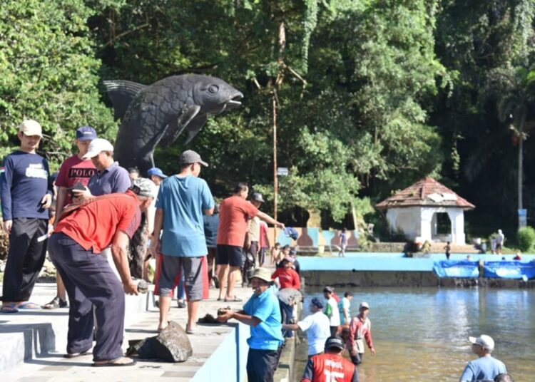 Pasca Kematian 1.200 Ikan Dewa, Kini Mulai Pulih Kembali ke Habitatnya 1 Pasca Kematian 1.200 Ikan Dewa, Kini Mulai Pulih Kembali ke Habitatnya