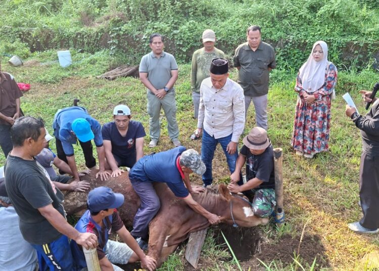IKMT Gelar Qurban di Tanah Mesjid, Perkuat Kegiatan Sosial dan Persiapan Pembangunan Mesjid 1 IKMT Gelar Qurban di Tanah Mesjid, Perkuat Kegiatan Sosial dan Persiapan Pembangunan Mesjid
