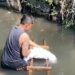 Jasad Bayi Ditemukan Mengambang di Sungai Citepus Bandung, Ini Kata Polisi