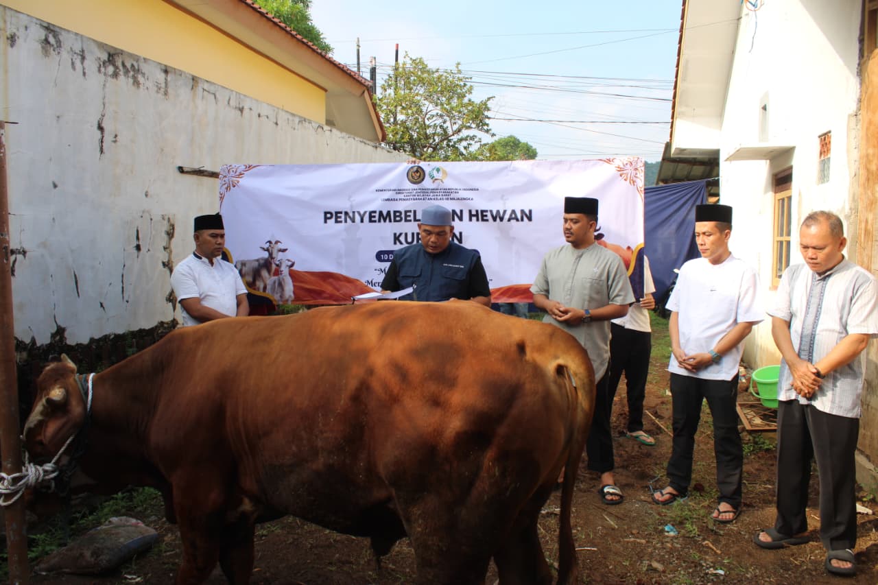 Suasana Idul Adha di Lapas Kelas II Majalengka, Sederhana Tapi Khidmat 2 Kalapas Majalengka Rian Firmansyah menyaksikan penyembelihan hewan kurban di lingkungan lapas