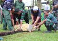 Kodim Kuningan Salurkan Hewan Kurban 2 Ekor Sapi dan 4 Ekor Kambing 14 Kodim Kuningan Salurkan Hewan Kurban 2 Ekor Sapi dan 4 Ekor Kambing