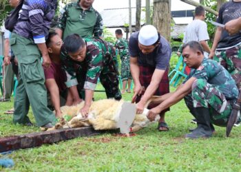 Kodim Kuningan Salurkan Hewan Kurban 2 Ekor Sapi dan 4 Ekor Kambing 6 Kodim Kuningan Salurkan Hewan Kurban 2 Ekor Sapi dan 4 Ekor Kambing