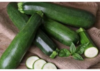 Zucchini, Superfood Hijau yang Baik untuk Pencernaan dan Jantung 1 Zucchini, Superfood Hijau yang Baik untuk Pencernaan dan Jantung