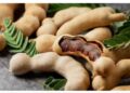 Tak Hanya Penyedap Masakan, Asam Kandis Juga Baik untuk Kesehatan 18 Tak Hanya Penyedap Masakan, Asam Kandis Juga Baik untuk Kesehatan