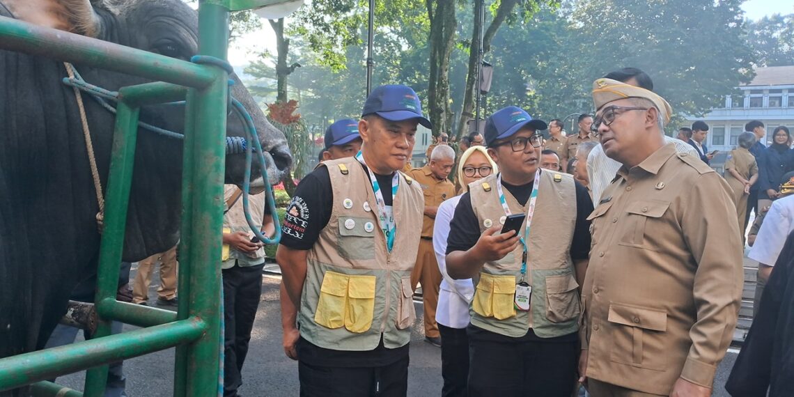 Pemkot Bandung Kerahkan 184 Petugas Periksa Kesehatan Hewan Kurban Jelang Idul Adha