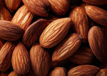 Murah dan Berkhasiat! Cek Manfaat Kacang Almond Buat Tubuh 2 Murah dan Berkhasiat! Cek Manfaat Kacang Almond Buat Tubuh