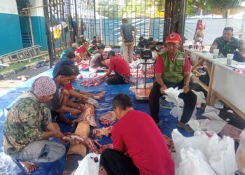 TNI Kawal Ketat Pendistribusian Ribuan Kantong Daging Qurban Untuk Warga, Dhuafa, dan Anak Yatim 2 TNI Kawal Ketat Pendistribusian Ribuan Kantong Daging Qurban Untuk Warga, Dhuafa, dan Anak Yatim
