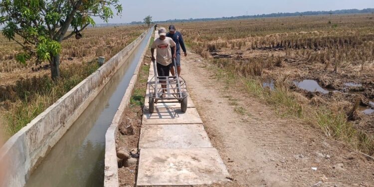 Petani Pangkalanpari, Sulap Limbah Beton Jadi Akses Jalan Menuju Sawah.