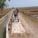 Petani Pangkalanpari, Sulap Limbah Beton Jadi Akses Jalan Menuju Sawah.