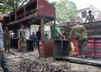 Penertiban PKL Cicadas Berjalan Humanis, Pemkot Utamakan Dialog 8 Penertiban PKL Cicadas Berjalan Humanis, Pemkot Utamakan Dialog