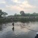 Tenggelam ke Sungai di Sapan Tegalluar, Wildan dan Darul, 2 Pelajar SMP Ditemukan Tewas 8 Tenggelam ke Sungai di Sapan Tegalluar, Wildan dan Darul, 2 Pelajar SMP Ditemukan Tewas