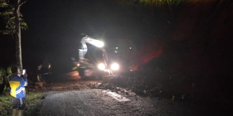 Pohon Tumbang Disertai Longsor Tutup Total  Jalan Provinsi