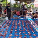 Ratusan Hewan Kurban Sapi dan Kambing Dinikmati Warga Pedesaan 19 Ratusan Hewan Kurban Sapi dan Kambing Dinikmati Warga Pedesaan