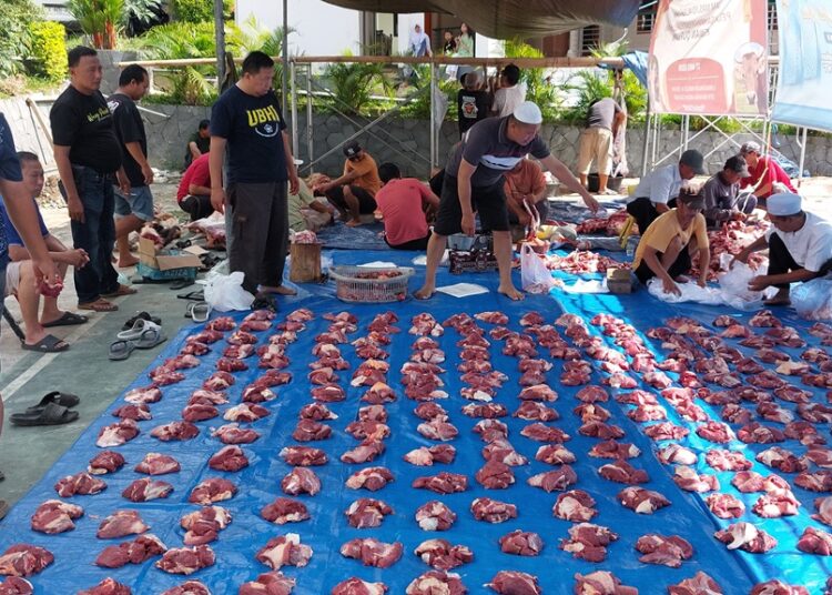 Ratusan Hewan Kurban Sapi dan Kambing Dinikmati Warga Pedesaan 1 Ratusan Hewan Kurban Sapi dan Kambing Dinikmati Warga Pedesaan