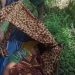 Jalan Rusak, Janji Mulus: Catatan Duka dari Aek Nabara