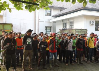 Dijanjikan Dapat Reward, 116 Sukwan Petugas Kebersihan Datang Menagih Janji Pejabat! 6 Dijanjikan Dapat Reward, 116 Sukwan Petugas Kebersihan Datang Menagih Janji Pejabat!