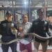 Ular King Cobra 3 Meter Nyaris Masuk Rumah Tetin 10 Ular King Cobra 3 Meter Nyaris Masuk Rumah Tetin