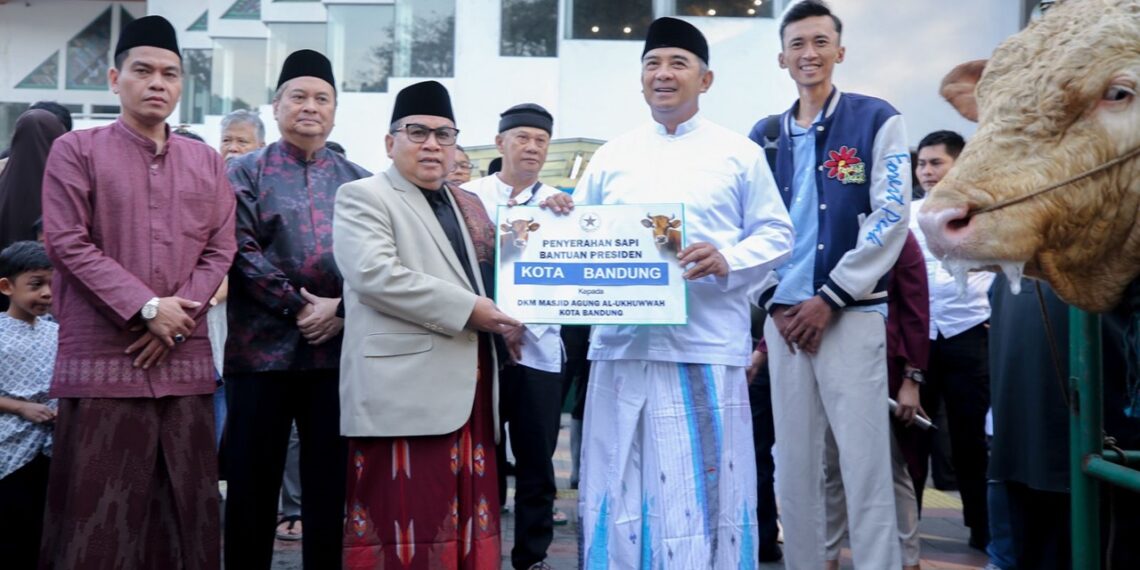 Home 2 31 Sapi Kurban Presiden dan KDM Disembelih di RPH Ciroyom, Sapi Walikota di Cicadas