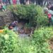 Pagi-pagi Warga Salagedang Digegerkan Temuan Mayat Pria Terkapar di Selokan, Identitas Sempat Misterius