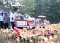 Surplus Jagung Kokohkan Ketahanan Pangan Nasional 16 Surplus Jagung Kokohkan Ketahanan Pangan Nasional