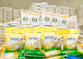 Pemerintah Pastikan Harga Beras SPHP Tak Naik Imbas Menguatnya Dolar AS 2 Pemerintah Pastikan Harga Beras SPHP Tak Naik Imbas Menguatnya Dolar AS