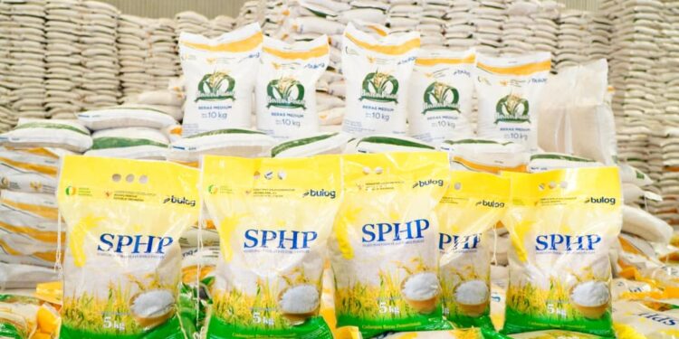 Pemerintah Pastikan Harga Beras SPHP Tak Naik Imbas Menguatnya Dolar AS