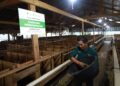BAZNAS RI Hadirkan Program Kurban Berkah Berdayakan Desa 2026 16 BAZNAS RI Hadirkan Program Kurban Berkah Berdayakan Desa 2026