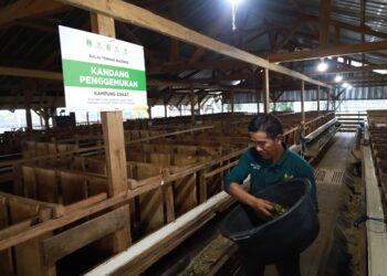 BAZNAS RI Hadirkan Program Kurban Berkah Berdayakan Desa 2026 3 BAZNAS RI Hadirkan Program Kurban Berkah Berdayakan Desa 2026