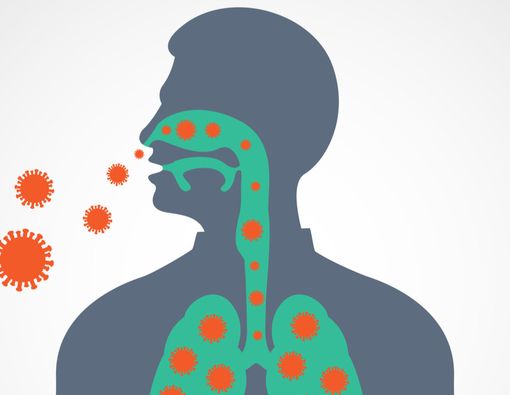 Kemarau Lebih Kering dan Panjang, Waspadai Beberapa Penyakit Ini 1 Kemarau Lebih Kering dan Panjang, Waspadai Beberapa Penyakit Ini