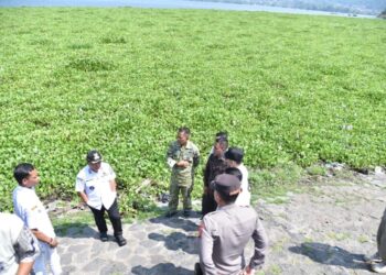 Gara-gara Eceng Gondok di Waduk Darma Kunjungan Wisatawan Menurun