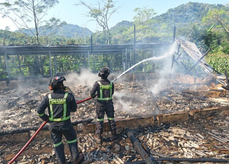 6.300 Ayam Petelur di Haurkuning Hangus Jadi Abu