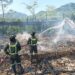 6.300 Ayam Petelur di Haurkuning Hangus Jadi Abu