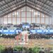 765 Pesilat Bertarung di Pencak Silat Nasional Ciremai Fest Series 2026 8 765 Pesilat Bertarung di Pencak Silat Nasional Ciremai Fest Series 2026