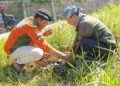Cegah Bencana Alam, DPC RENTAN Hijaukan Kawasan Cikajang Garut 6 Cegah Bencana Alam, DPC RENTAN Hijaukan Kawasan Cikajang Garut