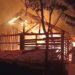 Diduga Akibat Buang Puntung Rokok Sembarangan, Pabrik Cobek Kayu Ludes Terbakar 9 Diduga Akibat Buang Puntung Rokok Sembarangan, Pabrik Cobek Kayu Ludes Terbakar