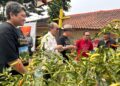 Hari Krida Pertanian ke-54, Pemkot Bandung Apresiasi Petani dan Salurkan Bantuan untuk Ratusan Kelompok Tani