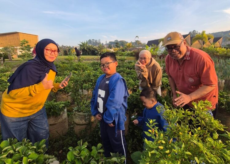 Lanjut Usia Yang Sehat, Aktif, Berdaya dan Bermartabat