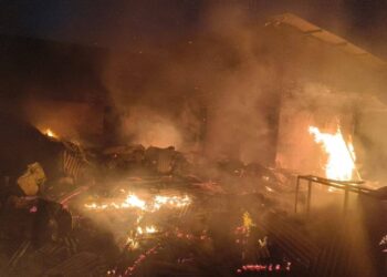 Kandang Terbakar Jelang Subuh, 7.000 Puyuh dan 2.000 Ayam Hangus Jadi Abu 3 Kandang Terbakar Jelang Subuh, 7.000 Puyuh dan 2.000 Ayam Hangus Jadi Abu