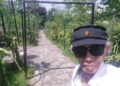 Wisata Petik Buah Naga Kuning di Sangkanika Petik Sesuka Hati dari Pohonnya