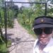 Wisata Petik Buah Naga Kuning di Sangkanika Petik Sesuka Hati dari Pohonnya 9 Wisata Petik Buah Naga Kuning di Sangkanika Petik Sesuka Hati dari Pohonnya
