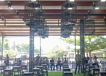 Kicau Mania Kapolres Cup, 14 Kelas Adu Gacor Bikin Peserta di Priangan Bergemuruh
