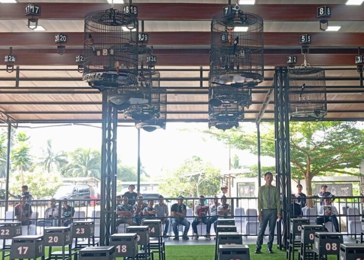 Kicau Mania Kapolres Cup, 14 Kelas Adu Gacor Bikin Peserta di Priangan Bergemuruh