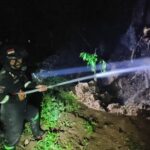 Pohon Angsana Disambar Petir Di Area Makam Keramat Petilasan Atya Kamuning 19 Pohon Angsana Disambar Petir Di Area Makam Keramat Petilasan Atya Kamuning