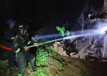 Pohon Angsana Disambar Petir Di Area Makam Keramat Petilasan Atya Kamuning 3 Pohon Angsana Disambar Petir Di Area Makam Keramat Petilasan Atya Kamuning
