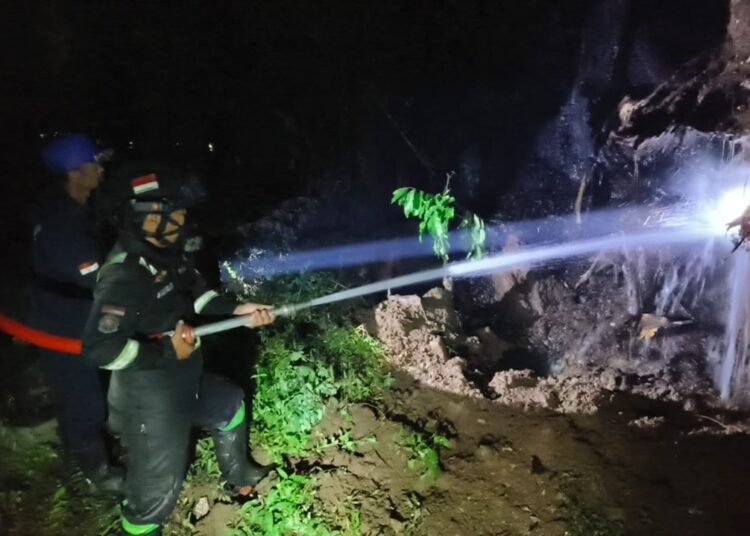 Pohon Angsana Disambar Petir Di Area Makam Keramat Petilasan Atya Kamuning 1 Pohon Angsana Disambar Petir Di Area Makam Keramat Petilasan Atya Kamuning
