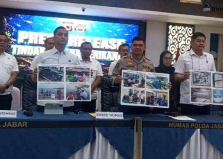 Polda Jabar Ungkap Perdagangan Benih Lobster Ilegal di Pangandaran, 4 Orang Jadi Tersangka
