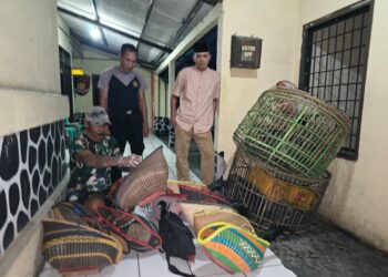 Polisi Gerebek Arena Sabung Ayam di Kebun Bambu, Pemilik Kabur Kocar Kacir, Barang Bukti Diangkut ke Mapolsek