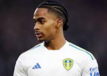 Manchester United Bersaing dengan PSG dan Arsenal untuk Rekrut Crysencio Summerville 2 Manchester United Bersaing dengan PSG dan Arsenal untuk Rekrut Crysencio Summerville