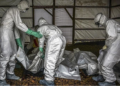 WHO: Wabah Ebola di Kongo Diduga Sudah Menyebar Sejak Januari Sebelum Terdeteksi 15 WHO: Wabah Ebola di Kongo Diduga Sudah Menyebar Sejak Januari Sebelum Terdeteksi